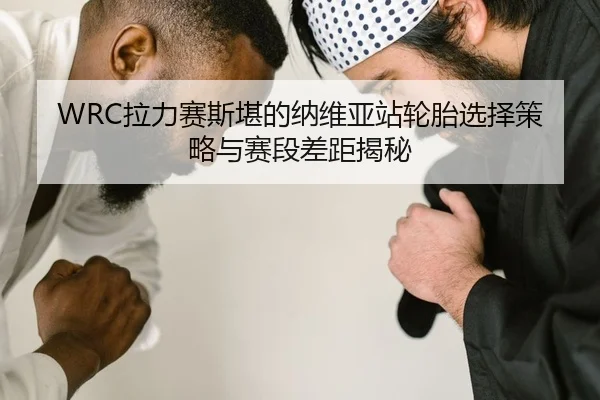WRC拉力赛斯堪的纳维亚站轮胎选择策略与赛段差距揭秘